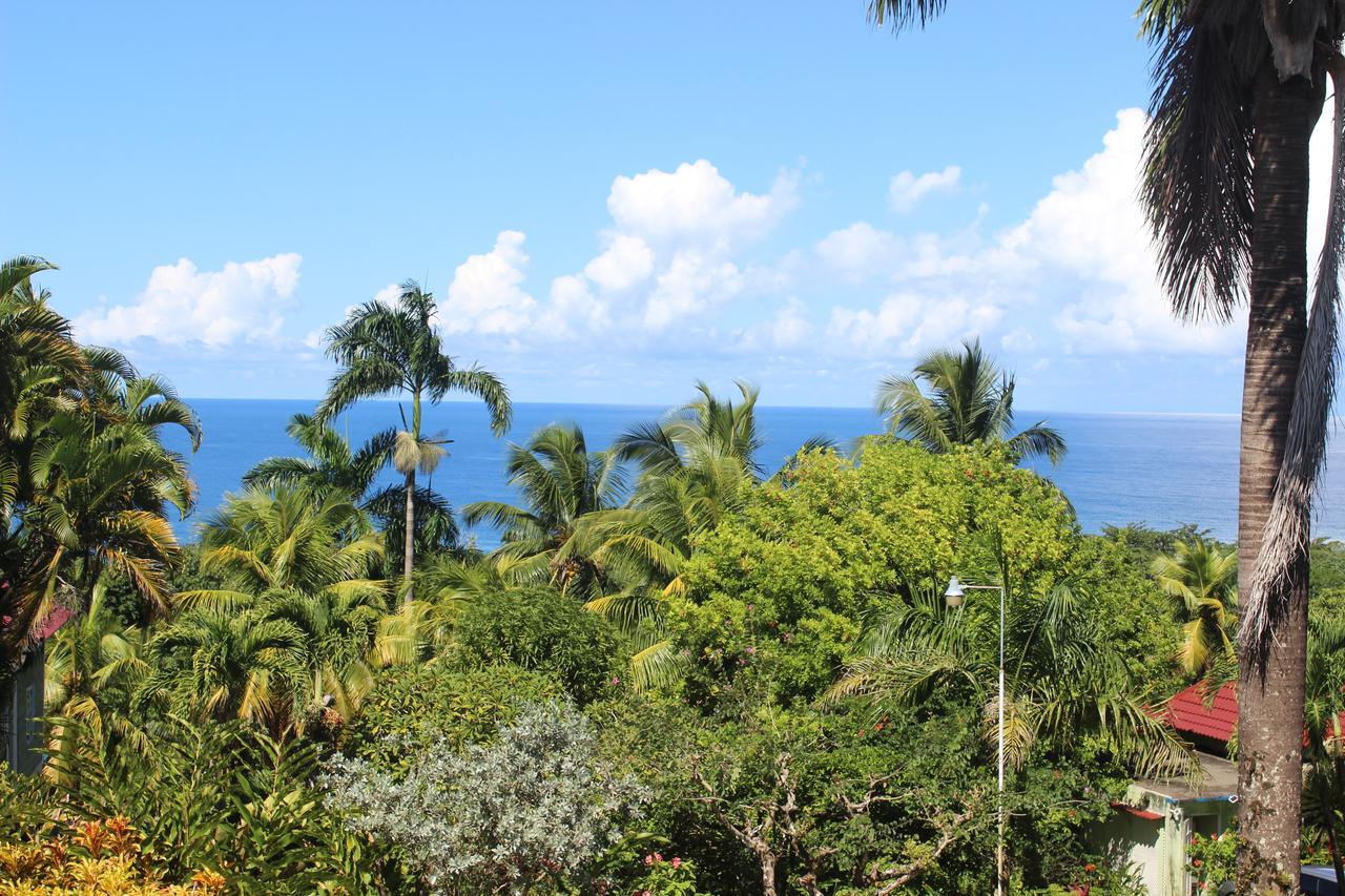 Rio Vista Resort Port Antonio Kültér fotó